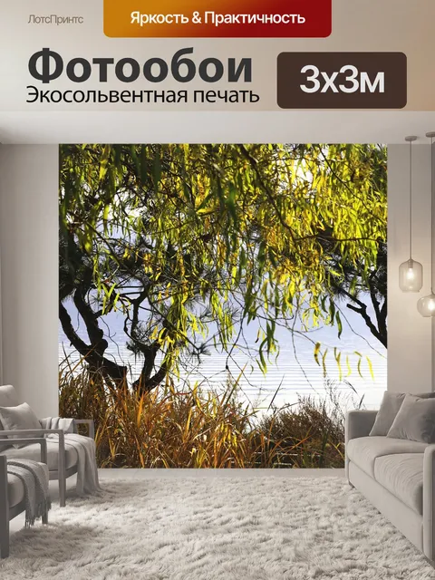 Фотообои Клен