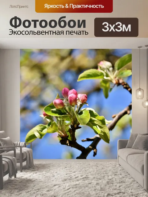 Фотообои Цветение яблони