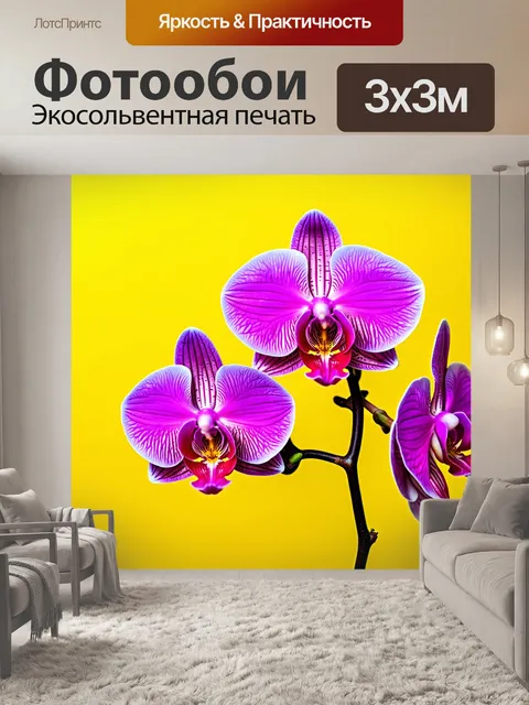 Фотообои розовые орхидеи на ярком фоне; впечатляющее изображение, создающее праздничное настроение