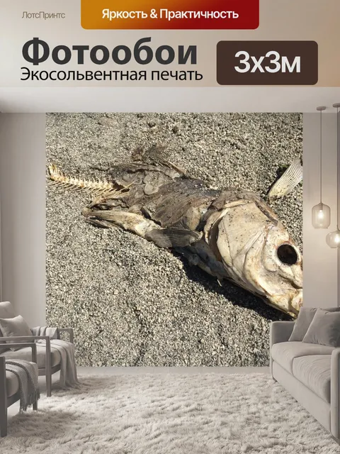 Фотообои Stinky Рыба