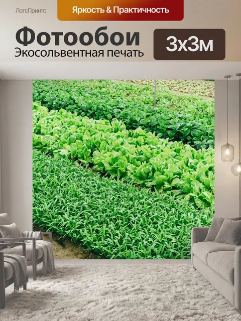 Фотообои Поле