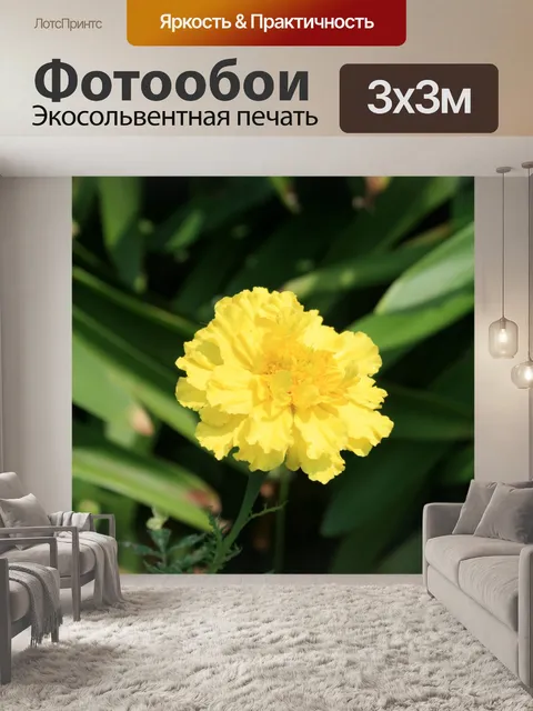 Фотообои один светло-желтого календулы
