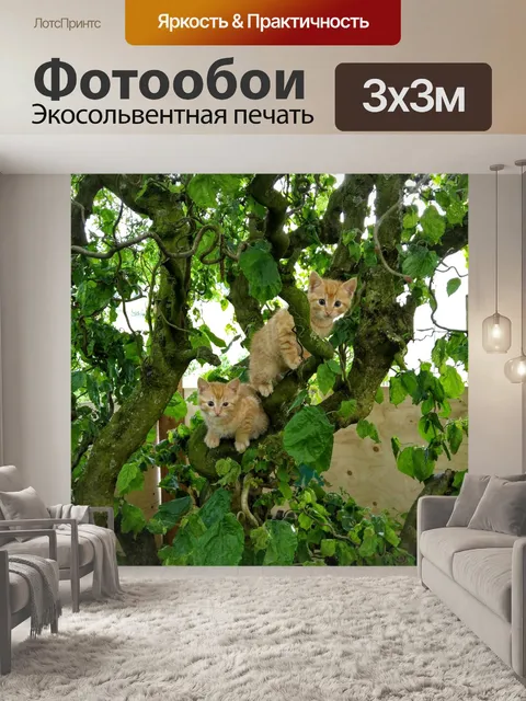 Фотообои Кот