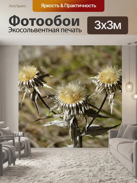 Фотообои Терн