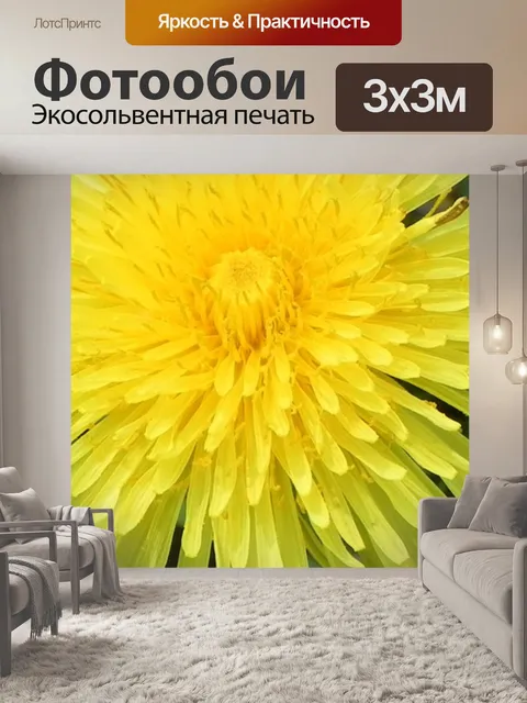 Фотообои одуванчик