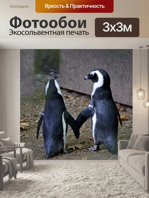 Фотообои Пингвин Любовь