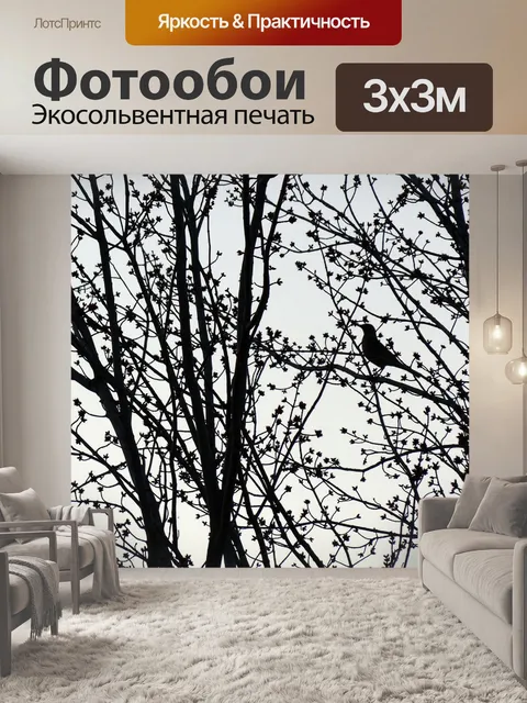 Фотообои Силуэт