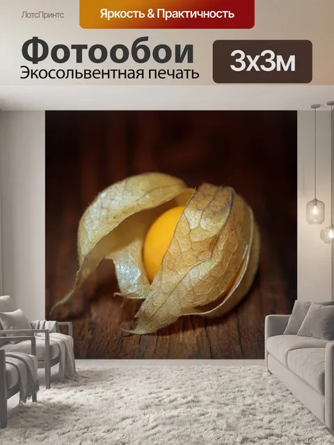 Фотообои Физалис
