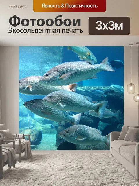 Фотообои школа серебряной рыбы в аквариуме