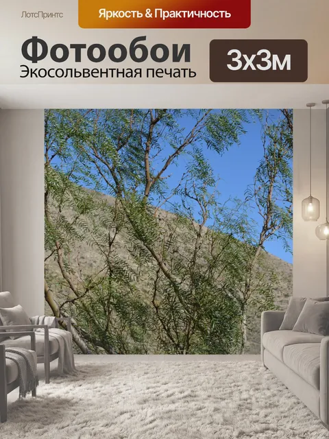 Фотообои Отделения листа дерева природный парк Tr