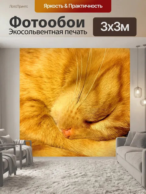 Фотообои Кошка