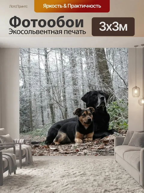 Фотообои Собаки