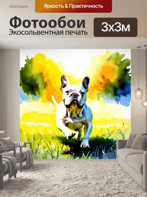 Фотообои французский бульдог, мчащийся по полю под летним солнцем с радостью и энергией