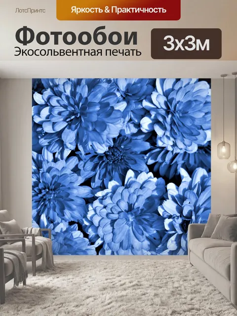 Фотообои Фон синие хризантемы