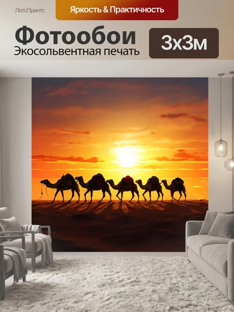Фотообои верблюд одногорбый, караван животных, закат в пустыне