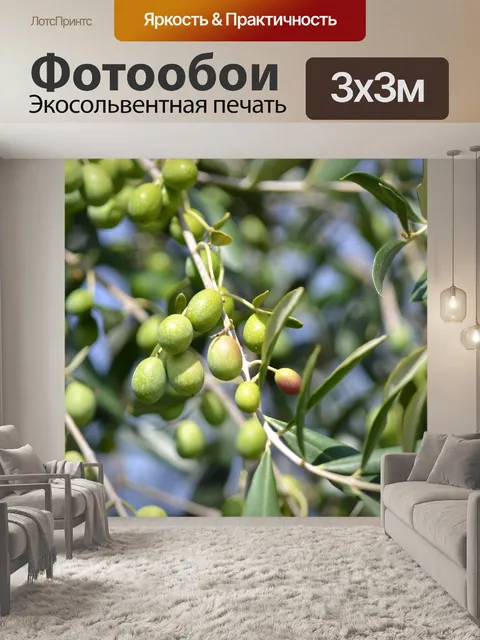 Фотообои Оливки