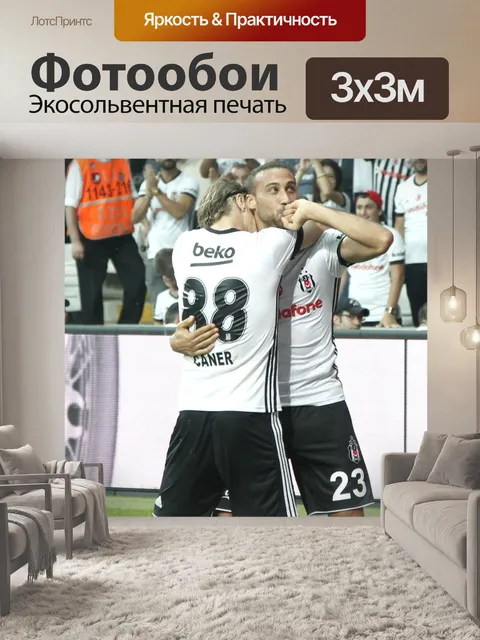 Фотообои Дженк тосун