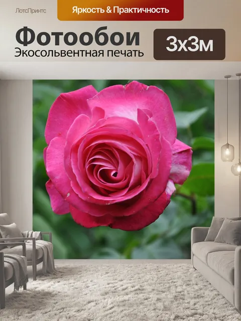 Фотообои Роуз
