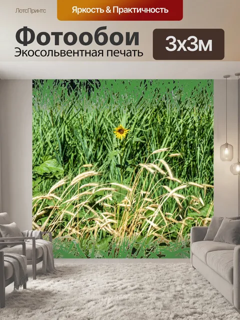 Фотообои подсолнух