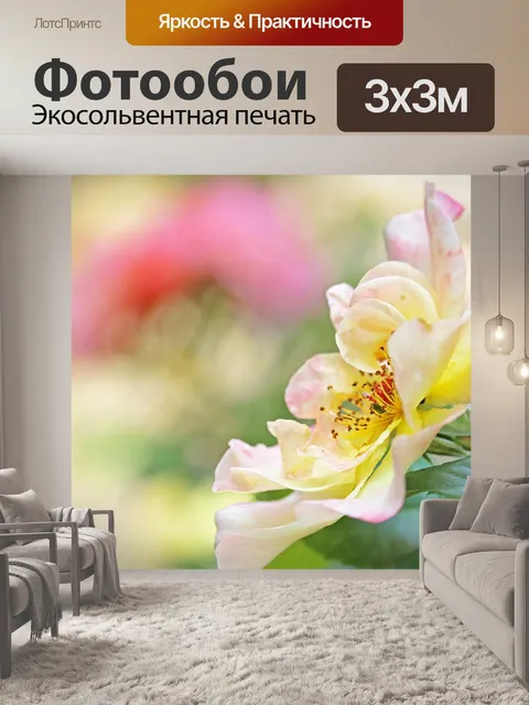 Фотообои Плетистая роза