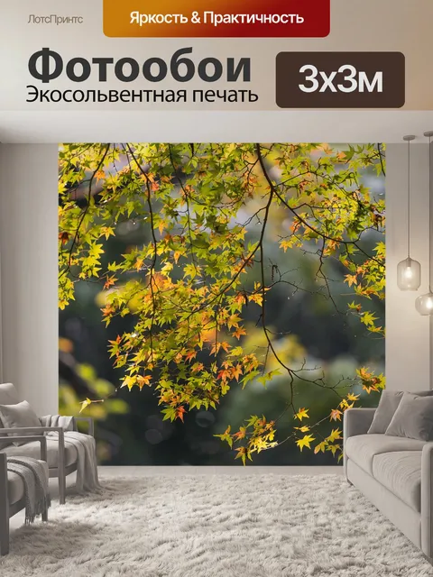 Фотообои Клен японский