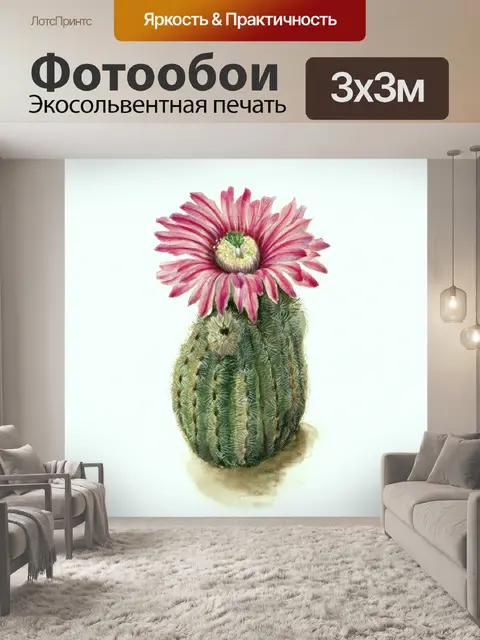 Фотообои Кактус винтаж искусство старый