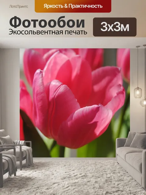 Фотообои Розовый тюльпан