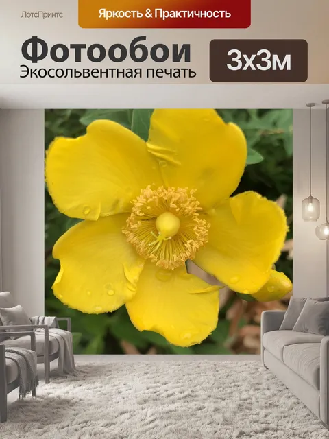 Фотообои Желтый