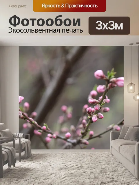 Фотообои Цветение вишни