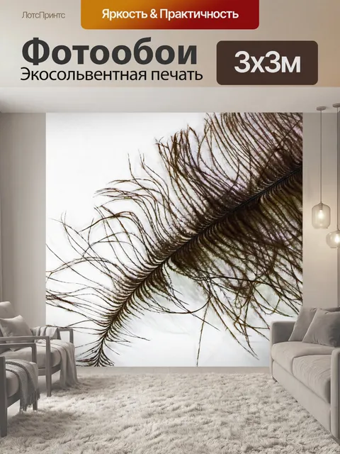 Фотообои тощий кончик большого серого пера