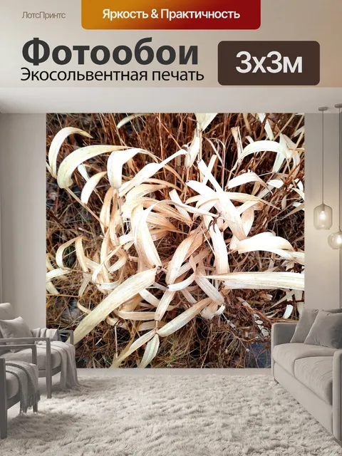 Фотообои Осенний лист 101