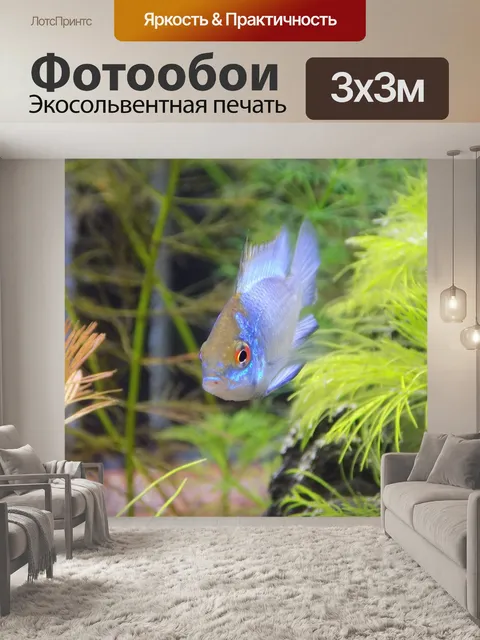 Фотообои Рыбка