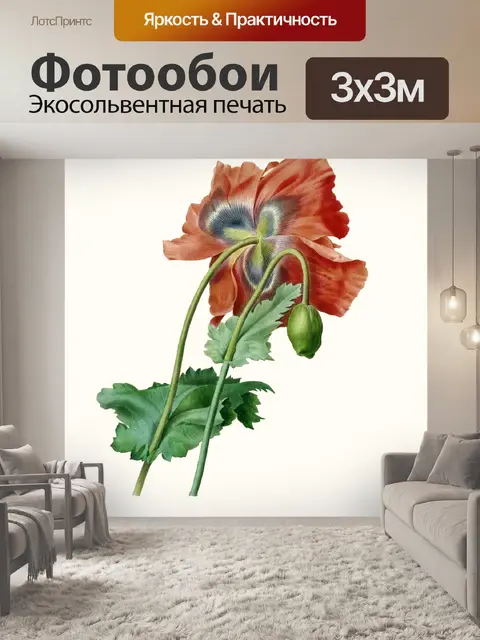 Фотообои Цветут старый винтажный мак