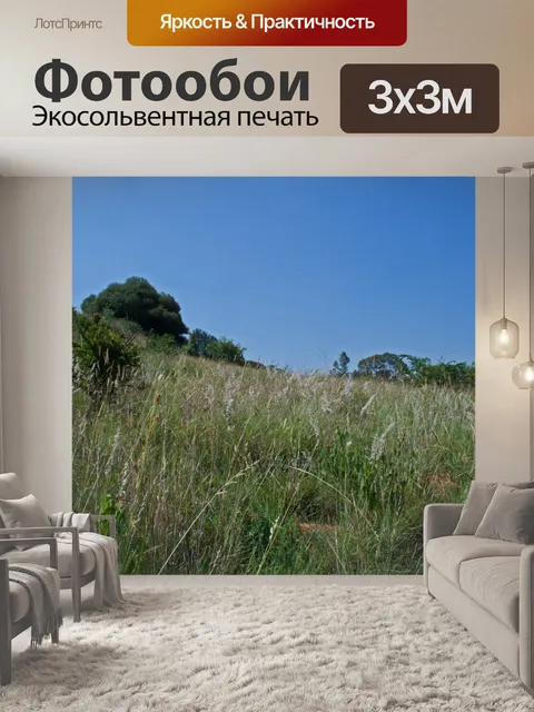Фотообои Bakenveld биом