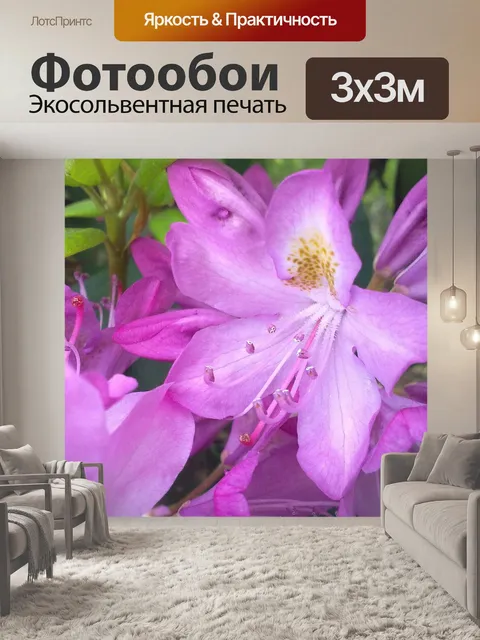 Фотообои Рододендрон