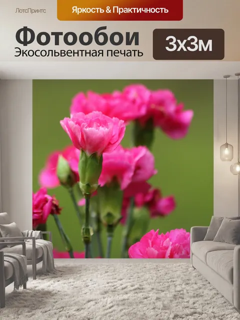 Фотообои Розовые гвоздики