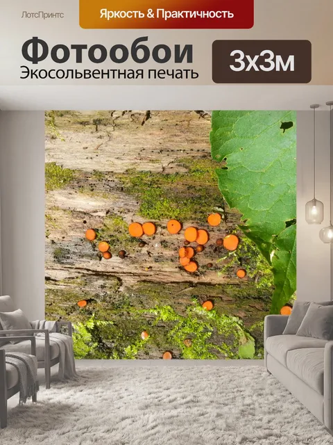 Фотообои Дерево с зеленым мхом
