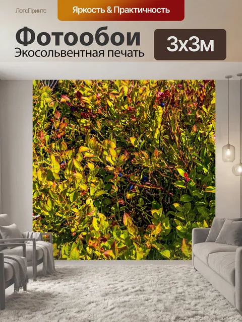 Фотообои Куст черники