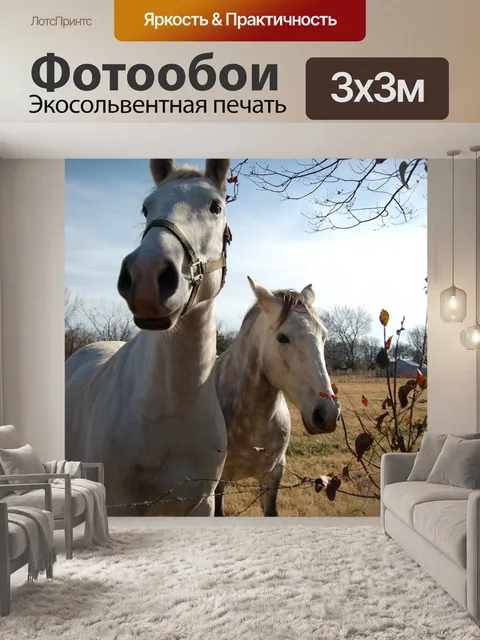 Фотообои Лошади