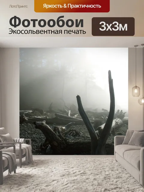 Фотообои Коряги