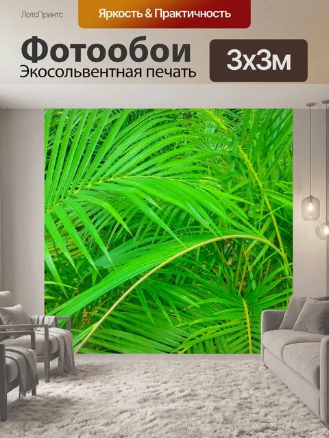 Фотообои Зеленые пальмовые листья