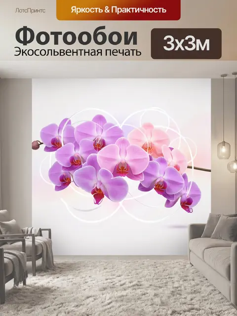 Фотообои Розовые и сиреневые орхидеи