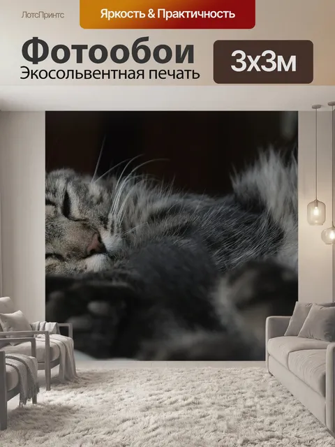 Фотообои Кошка