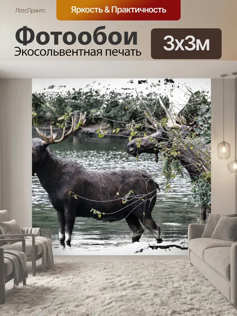 Фотообои лось