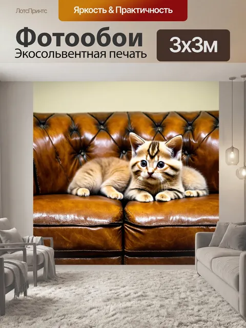 Фотообои котята, уютные и мягкие, отдыхают на старинном кожаном диване