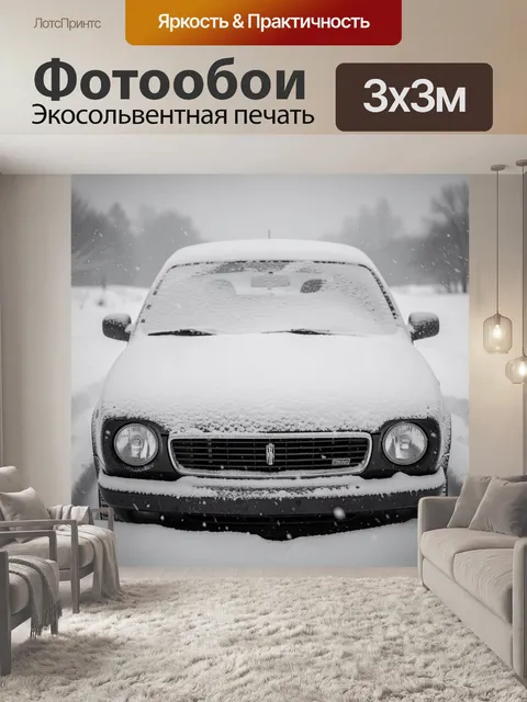Фотообои Седан в снежной метели