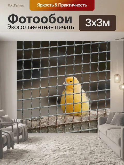 Фотообои Птица