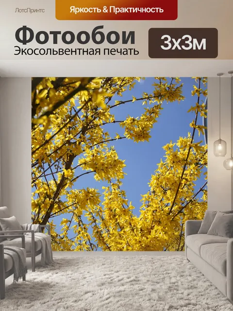 Фотообои Форсайтия