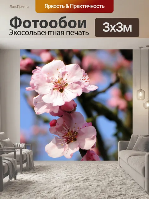 Фотообои Цветок миндаля