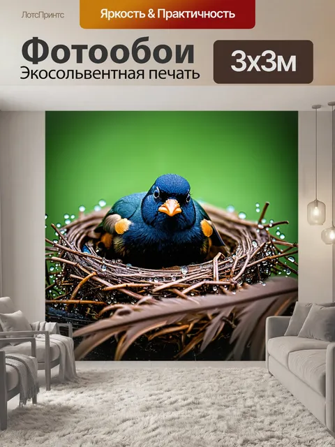Фотообои удивительная сцена черного дрозда